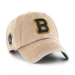 Boston Bruins Clean Up