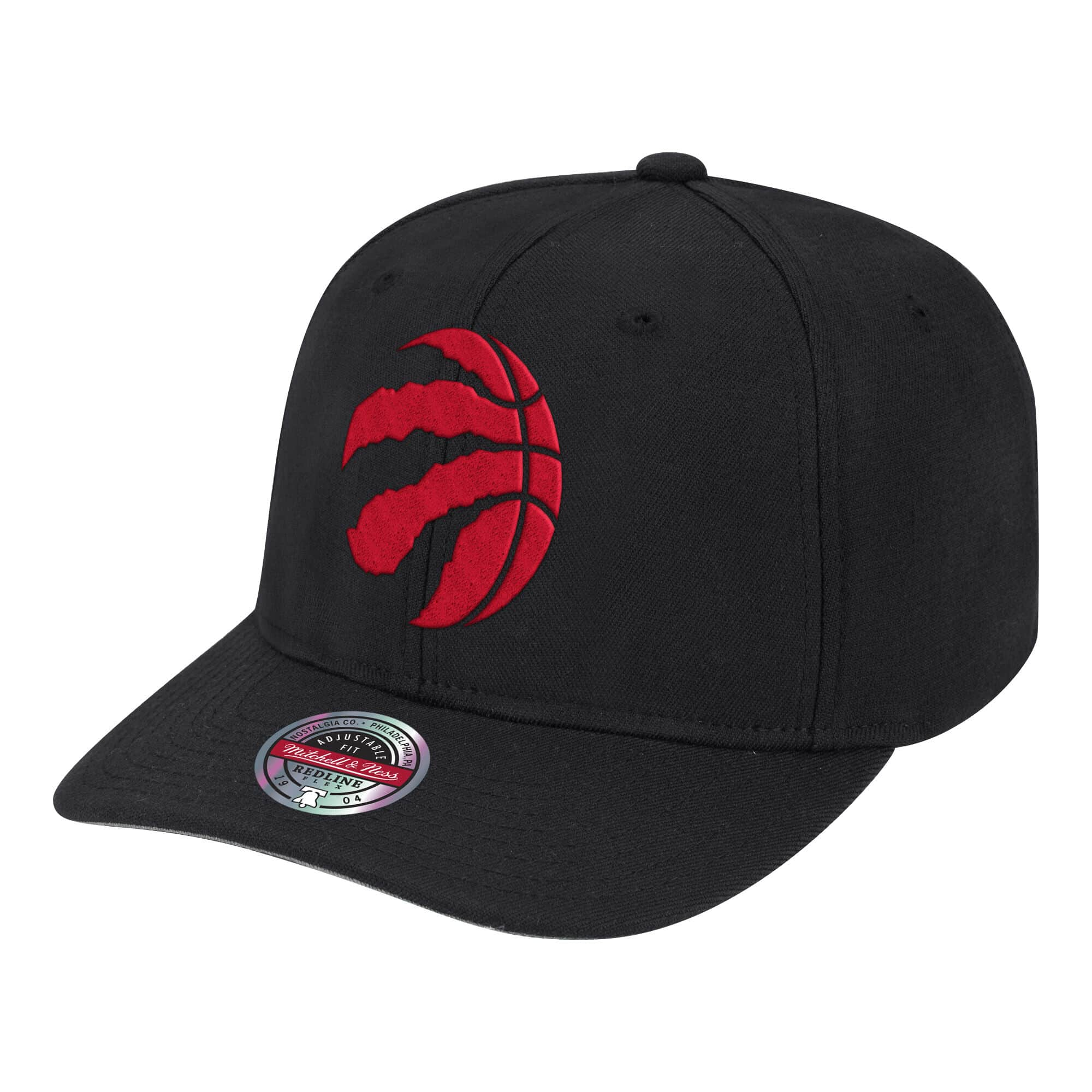 Toronto Raptors Snapback